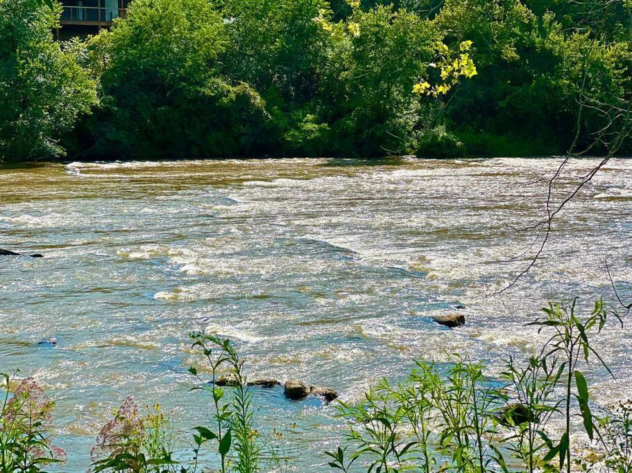 Riverside Relaxer W/Hot Tub+Fire Pit +Wifi & View Franklin Εξωτερικό φωτογραφία